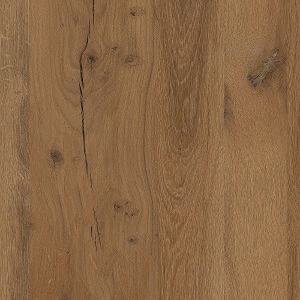 Avignon Oak